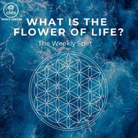 What is the flower of life?