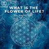 What is the flower of life?