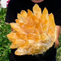 Yellow Phantom Quartz Crystal Cluster | Majestic Heights